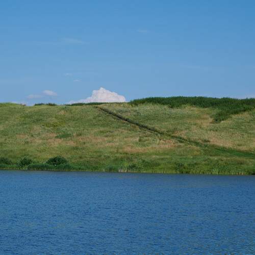 Photo #13257561