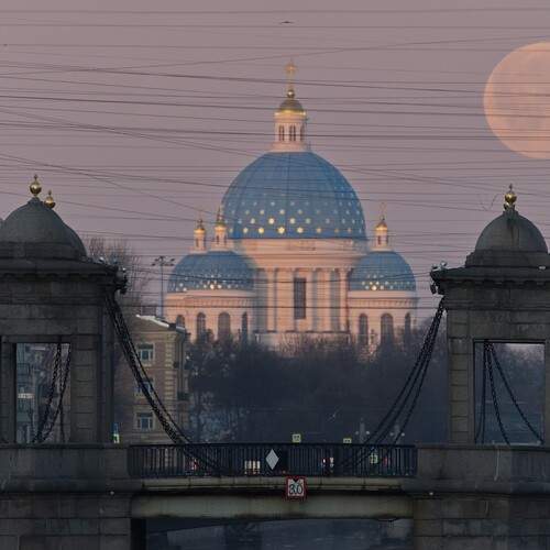 Photo #13257578