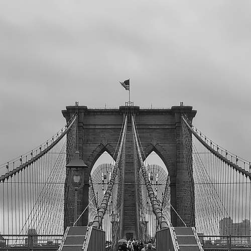 Photo #13257616