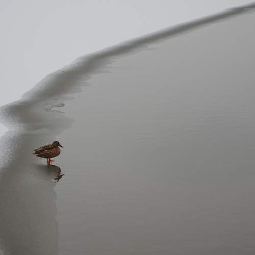 Photo #13257726