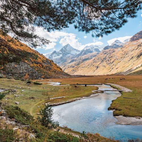 Фотография #13257796