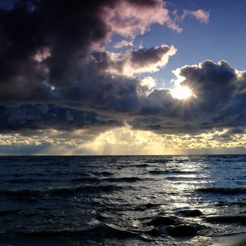 Photo #13257817