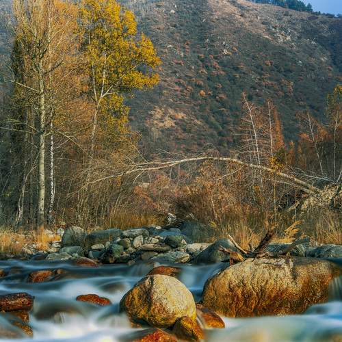 Photo #13257823