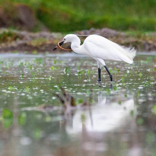 Photo #13257880