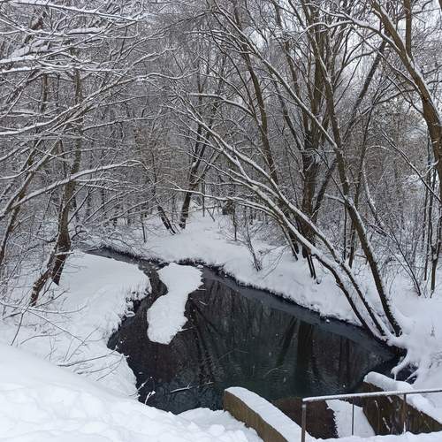Photo #13257900