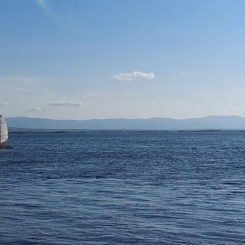 Красавец Амур.