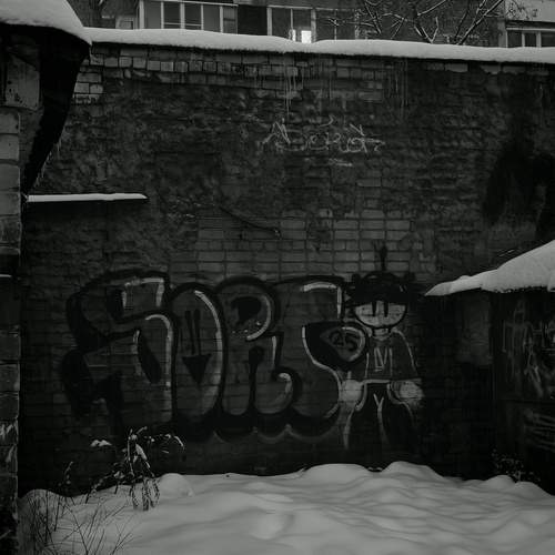 Photo #13257997