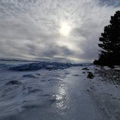 Photo #13258150