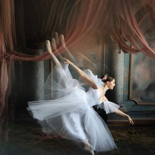 Photo #13258274