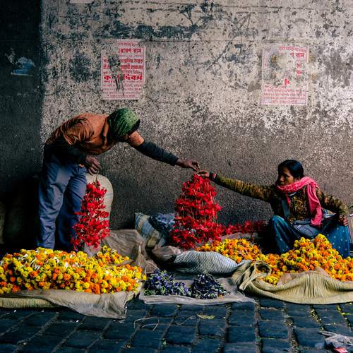 Photo #13258341