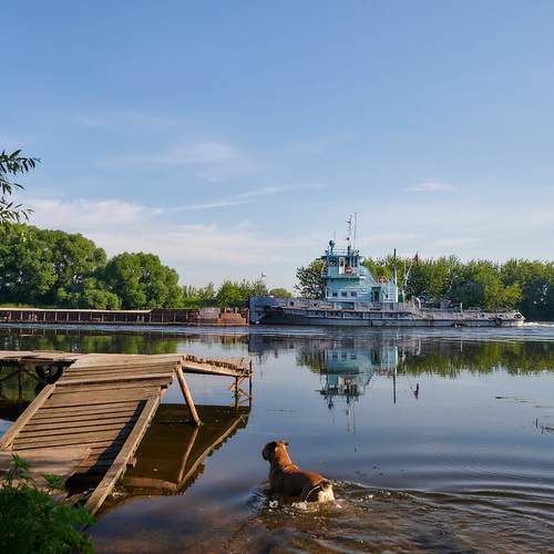 Photo #13258379
