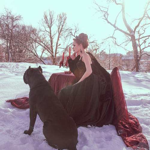 Photo #13258502