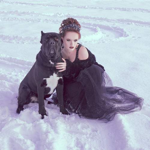 Photo #13258503