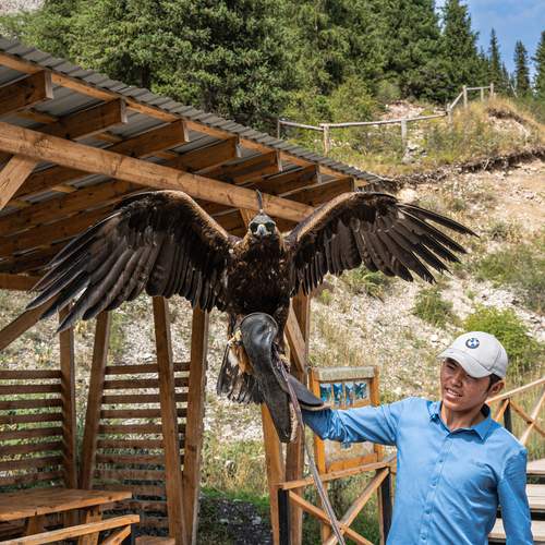 Photo #13258624