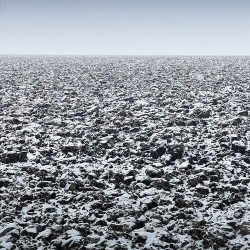 Фотография #13258659