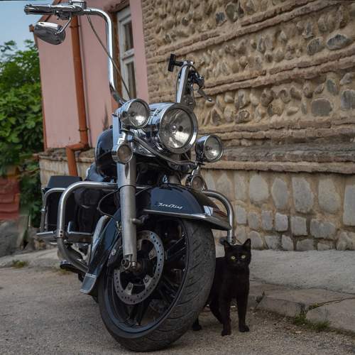 Photo #13258704