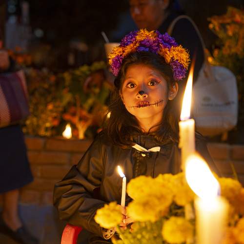 Photo #13258718