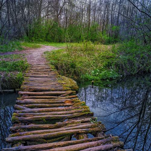 Photo #13258786