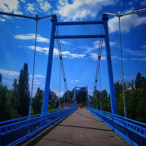 Photo #13258842