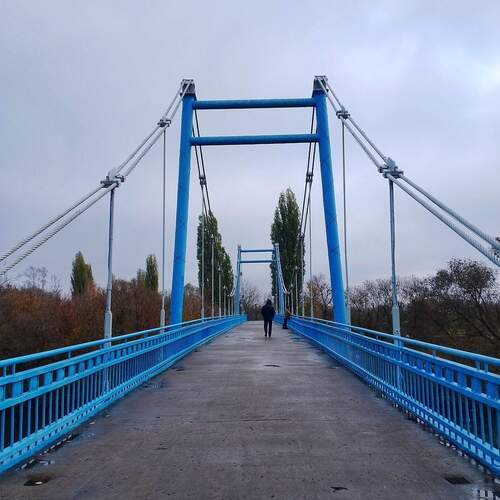 Photo #13258863