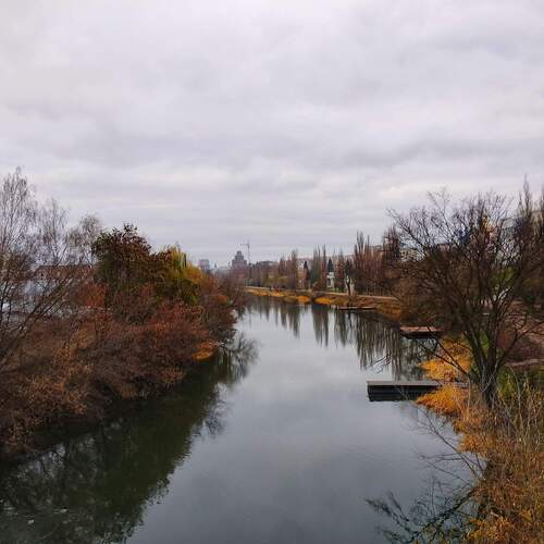 Photo #13258905