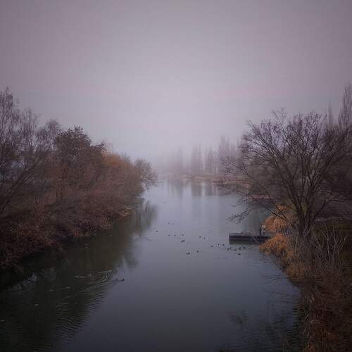 Photo #13258906