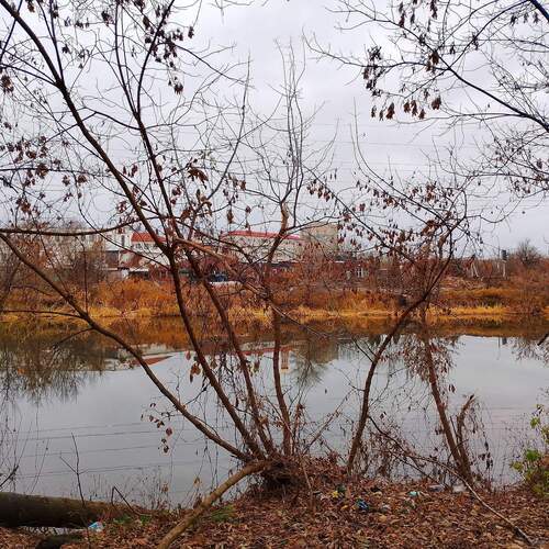Photo #13258909