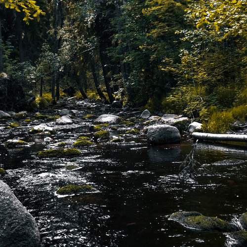 Photo #13259113