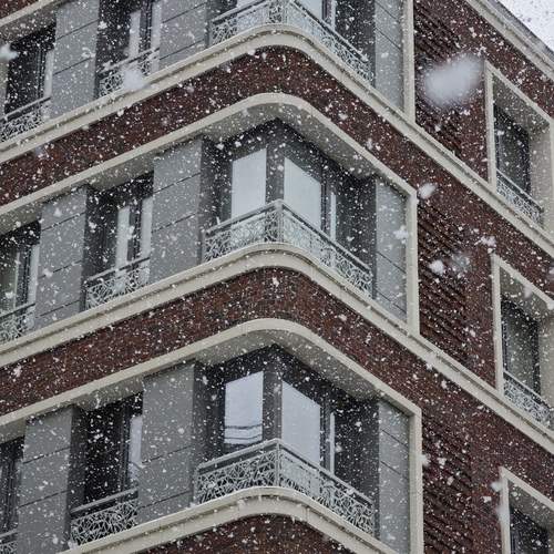 Photo #13259172