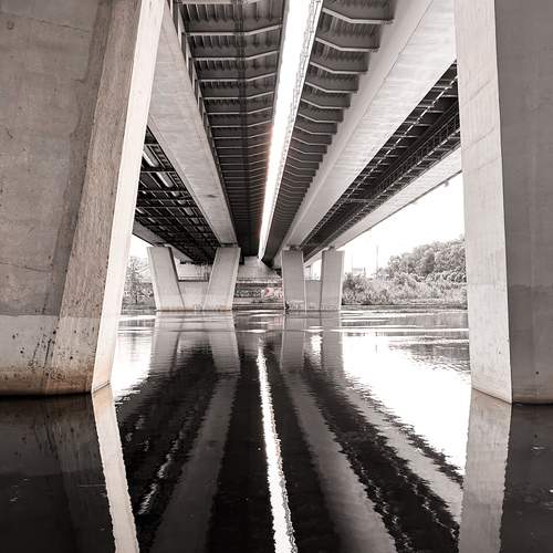 Photo #13259206