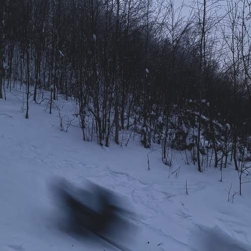 Photo #13259493