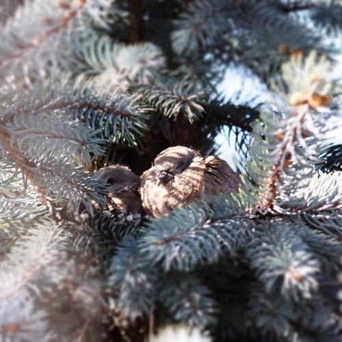 Photo #13259670
