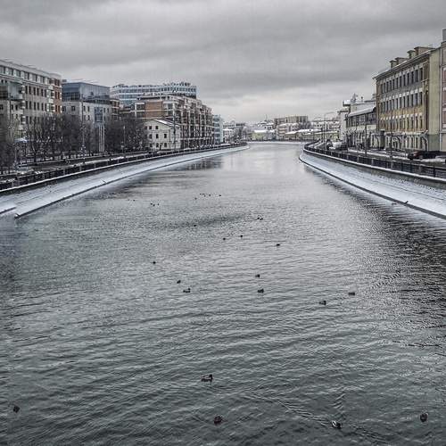 Photo #13259707