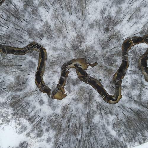 Photo #13259722