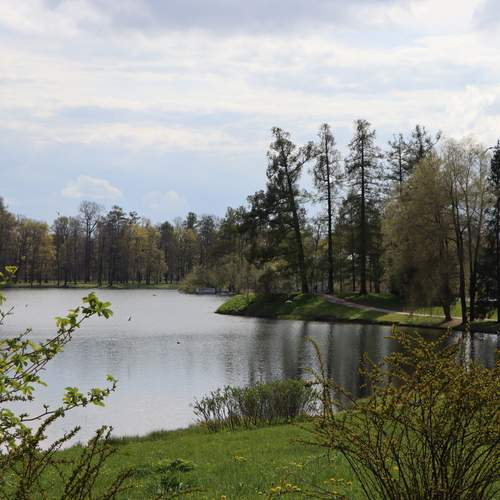 Photo #13259942