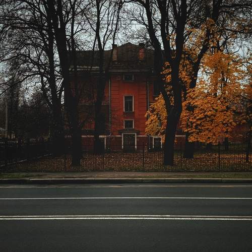 Photo #13260259