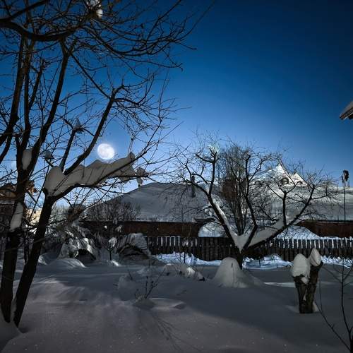Photo #13260291