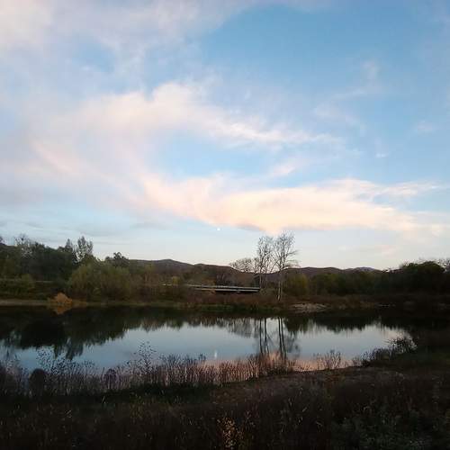 Photo #13260437
