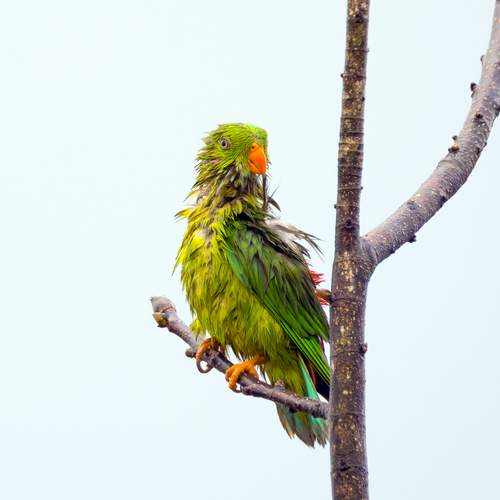 Photo #13260511