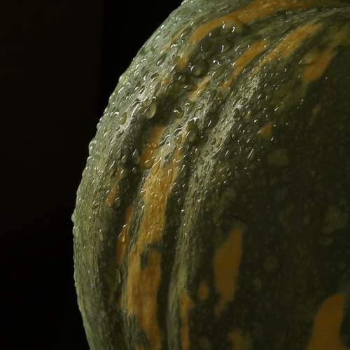 Photo #13260558