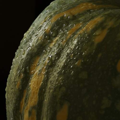 Photo #13260564