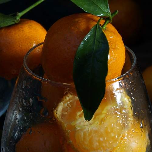 Photo #13260574