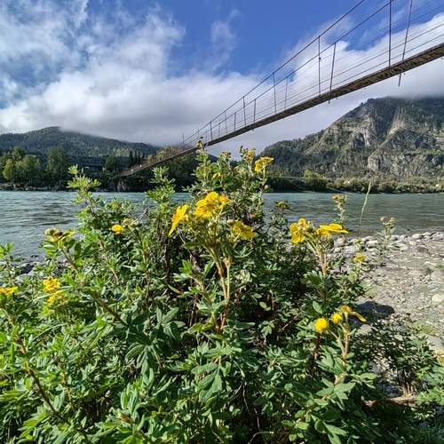Photo #13260585