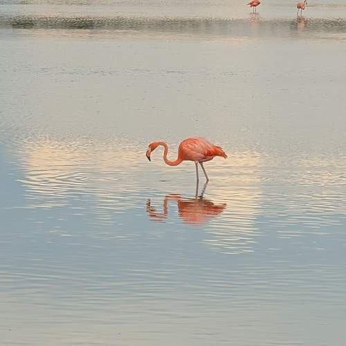 Photo #13260667