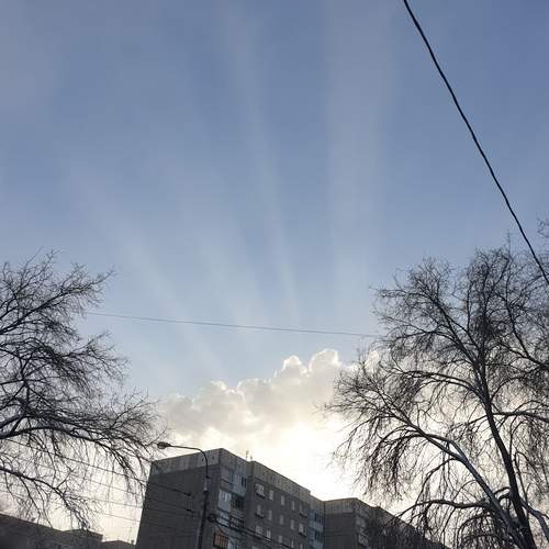 Photo #13260690