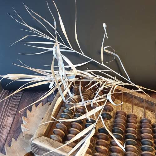 Photo #13260698