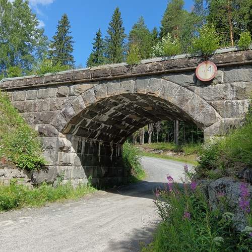 Photo #13260761