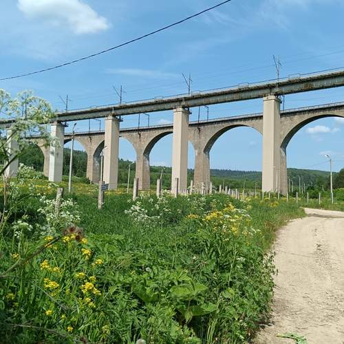 Photo #13260776