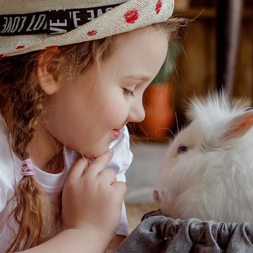 Photo #13260798