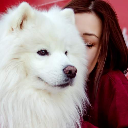 Photo #13260802